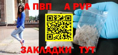 крисы Нальчик