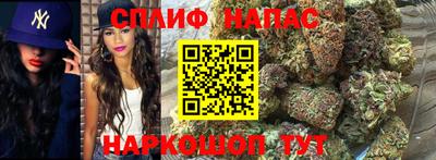 крисы Нальчик