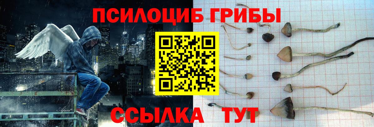 Галлюциногенные грибы Magic Shrooms  Галлюциногенные грибы Cubensis  Вход с VPN  Шарыпово 