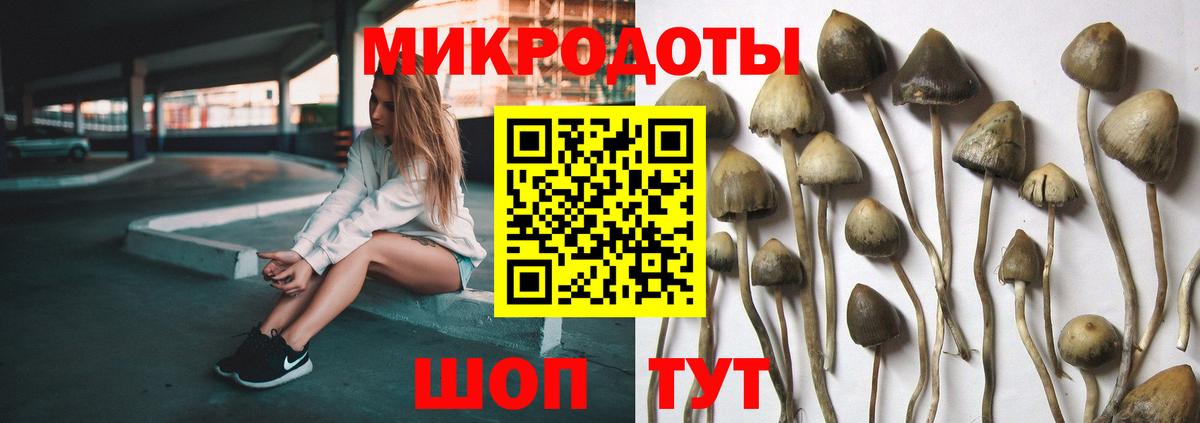 Галлюциногенные грибы мухоморы Шарыпово
